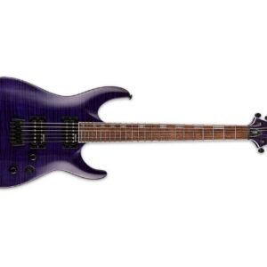 ESP 6 String LTD H-200FM Electric Guitar See Thru Purple H-200FM STP