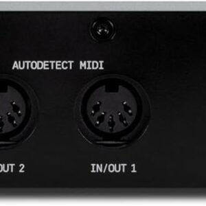ESI Amber i2 Dual-Input Audio Interface