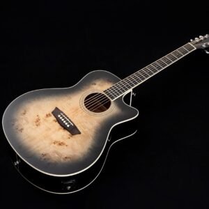 715jZoQFxVL._AC_SL1500_.jpg Washburn Deep Forest Burl 6 String Acoustic-Electric Guitar, Right, Black Fade (DFBACEB)