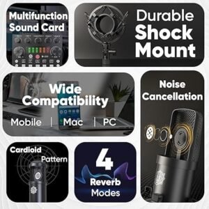 71Ncr3jI2KL._SY450_.jpg Digimore D 432 Dual Condenser Microphone Kit for Singing with V8 Sound Card