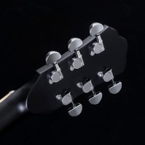 Washburn Deep Forest Burl 6 String Acoustic Guitar, Right, Black Fade (DFBDB)