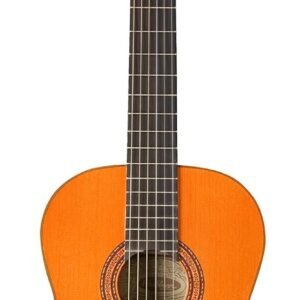 Washburn Classical Series Natural Acoustic Guitar C5-WSH-A