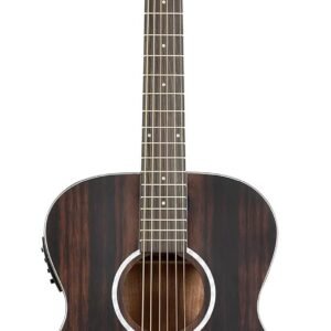 Washburn 6 String Acoustic-Electric Guitar, Right, Striped Ebony (DFEFE)