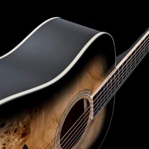 Washburn Deep Forest Burl 6 String Acoustic Guitar, Right, Black Fade (DFBDB)