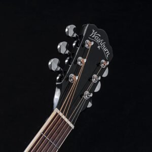 71o44RPe7L._AC_SL1500_.jpg Washburn Deep Forest Burl 6 String Acoustic-Electric Guitar, Right, Black Fade (DFBACEB)