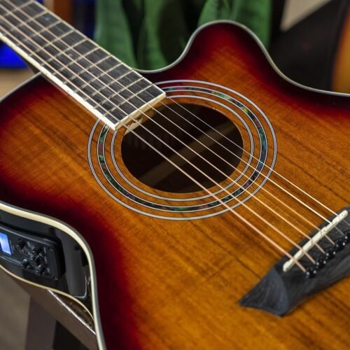 Washburn Festival Series 6 String Acoustic Electric Guitar, Right, Koa Burst, Cutaway Mini Jumbo (EA55G-A) Washburn Festival Series 6 String Acoustic Electric Guitar, Right, Koa Burst, Cutaway Mini Jumbo (EA55G-A)