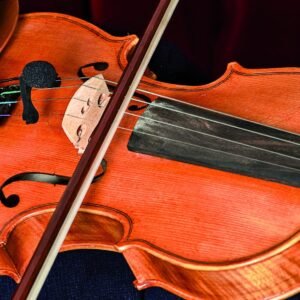 Prodipe VL-21 Microphone for Violin & Viola