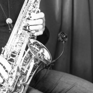 Prodipe SB-21 Microphone for Saxophone & Brass Instrument