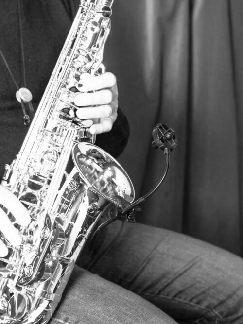 Prodipe SB21 Saxophone and Brass Instrument Microphone