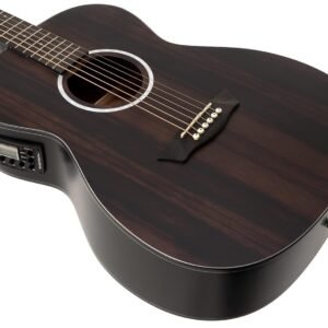 Washburn 6 String Acoustic-Electric Guitar, Right, Striped Ebony (DFEFE)