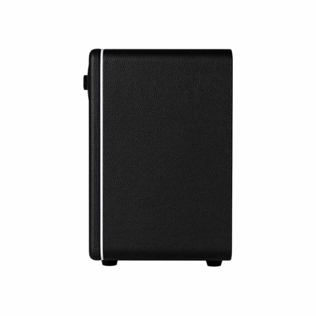 Mooer Hornet 15i Modeling Amp Black