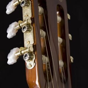 Washburn Classical Series Natural Acoustic Guitar C5-WSH-A