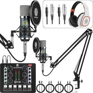 Digimore D 442 Dual Condenser Microphone Kit for Singing with D 220 Sound Card