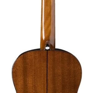 Washburn Classical Series Natural Acoustic Guitar C5-WSH-A