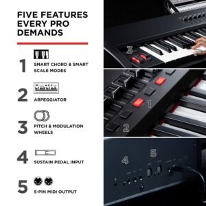 M-Audio Hammer 88 Pro 88 Key USB MIDI Keyboard Controller M-Audio Hammer 88 Pro 88 Key USB MIDI Keyboard Controller