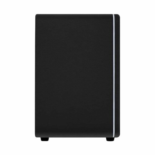 Mooer Hornet 30I Modeling Amp Black