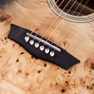 Washburn Deep Forest Burl 6 String Acoustic Guitar, Right, Black Fade (DFBDB)