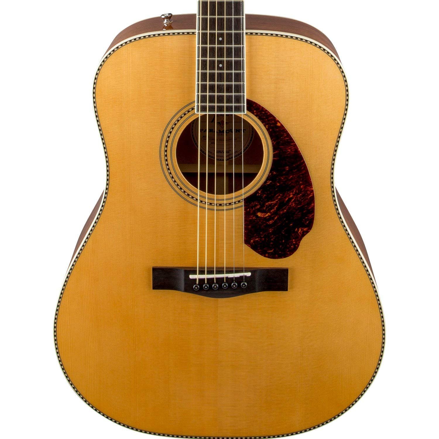 Fender Acoustic Guitar Dreadnought with Case & Electronics PM-1E Natural 970312321