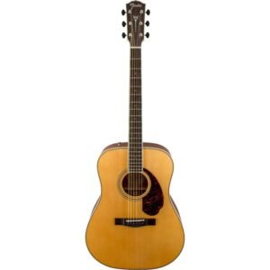 Fender Acoustic Guitar Dreadnought with Case & Electronics PM-1E Natural 970312321