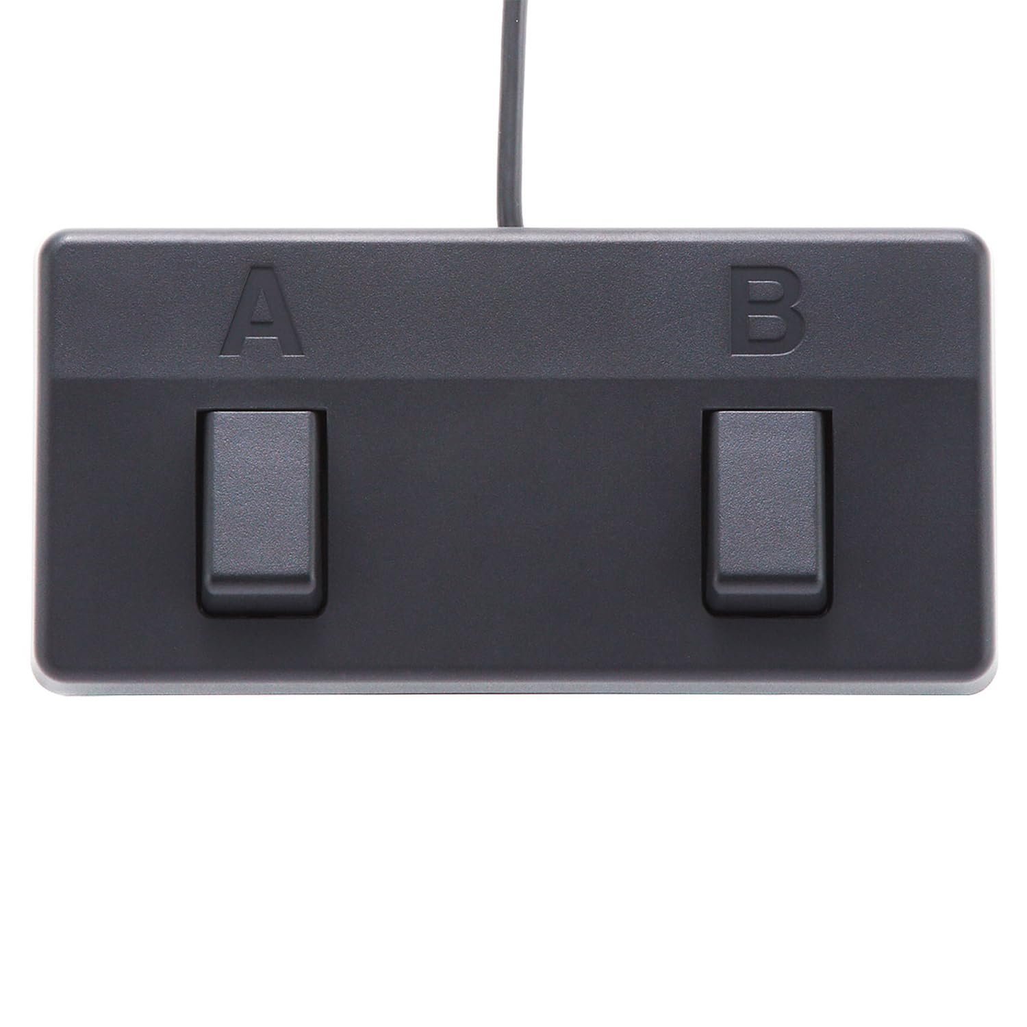 Boss Acoustic Singer Live ACS Live (Acoustic Amplifier)