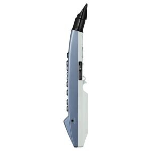 Roland AE-01 Aerophone mini Digital Wind Instrument
