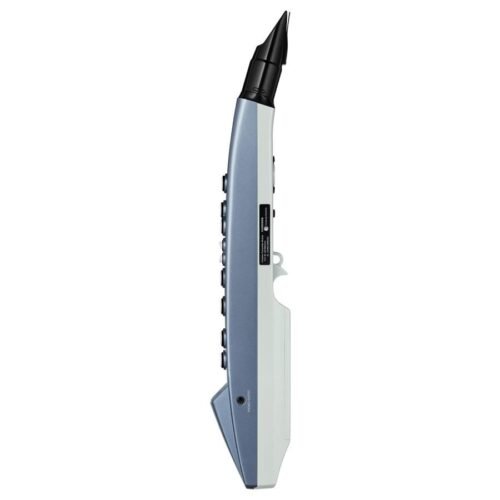 Roland AE-01 Aerophone mini Digital Wind Instrument