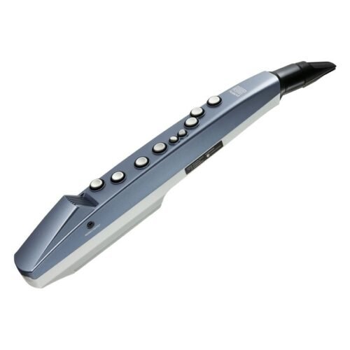 Roland AE-01 Aerophone mini Digital Wind Instrument