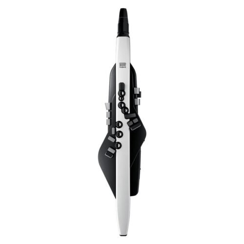 AE-20-3-1.jpg Roland Aerophone AE-20 Digital Wind Instrument