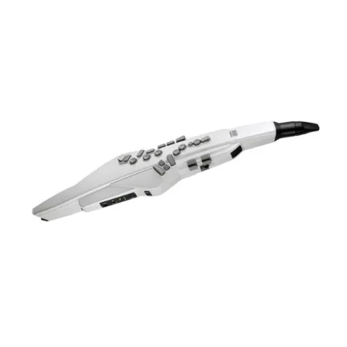 Roland AE-BRISA Electronic Wind Instrument