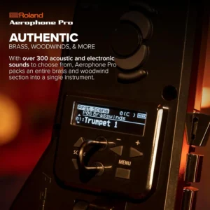 Roland Aerophone Pro AE-30 Digital Wind Instrument