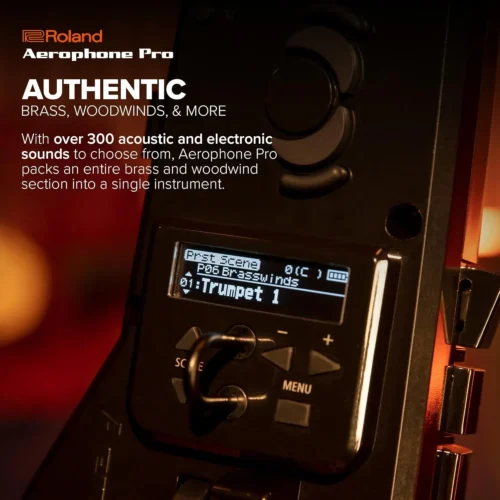 Roland Aerophone Pro AE-30 Digital Wind Instrument