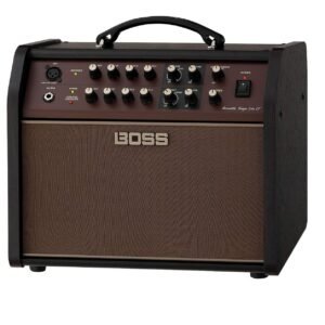 Boss Acoustic Singer Live LT Acoustic Amplifier - 60watt
