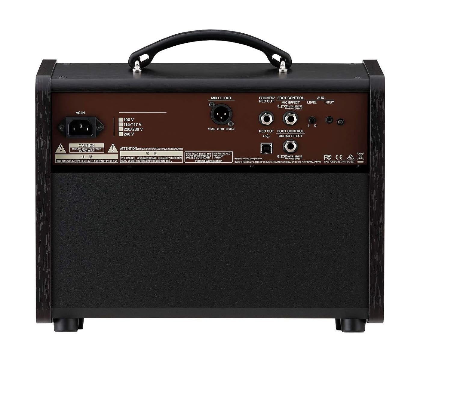 Boss Acoustic Singer Live LT Acoustic Amplifier - 60watt