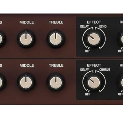 Acoustic Singer Live LT 4