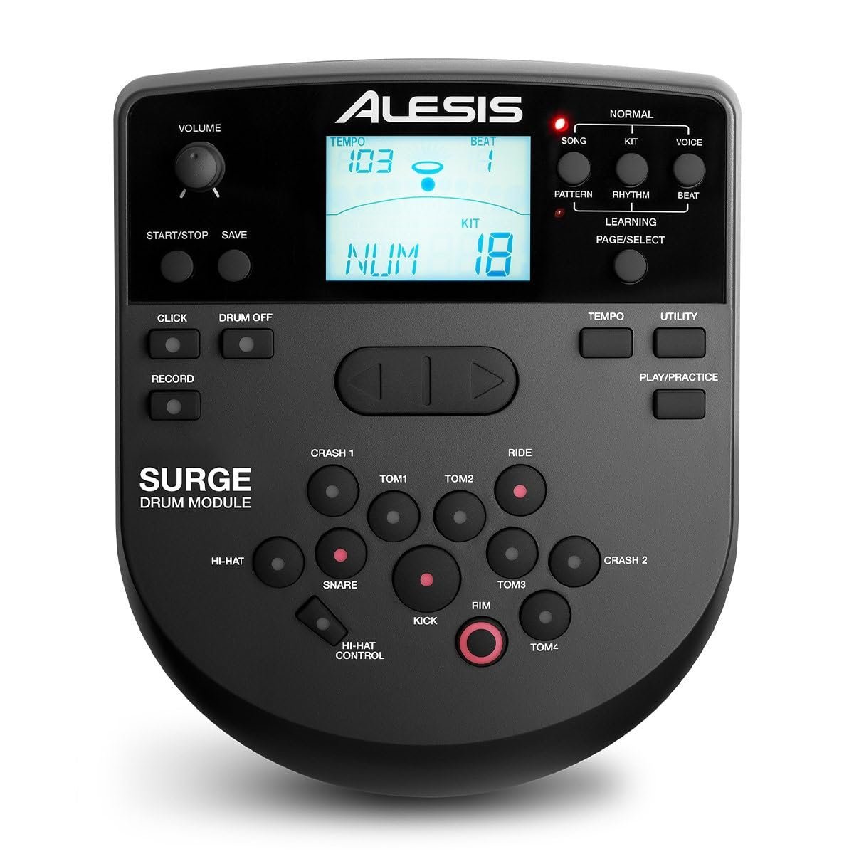 Alesis Surge Mesh Kit | Eight-Piece Electronic Drum Kit with Mesh Heads, Kits, Sounds and Play Along Tracks plus USB/MIDI Connectivity