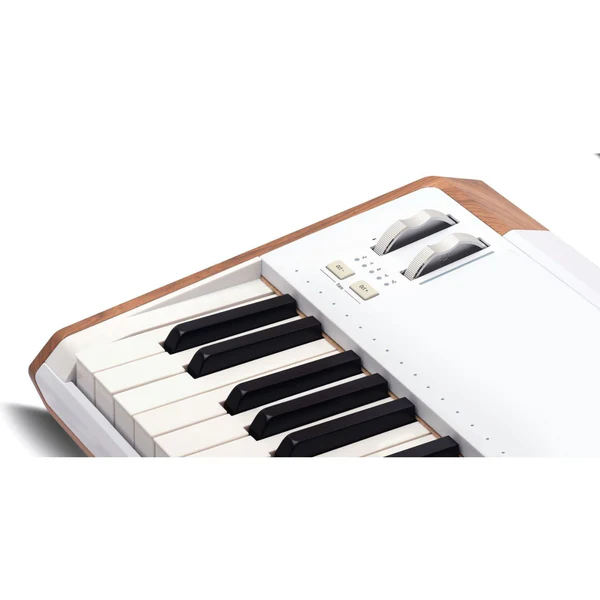 Arturia AstroLab 61 Key Stage Keyboard