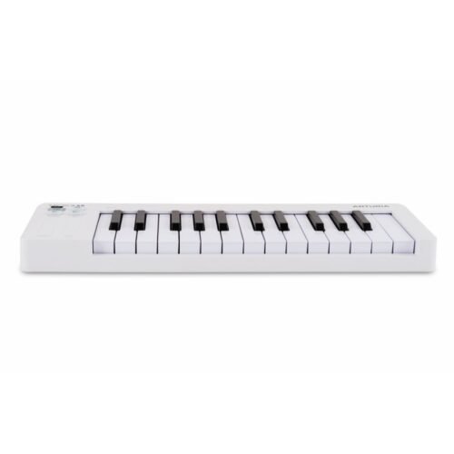 Arturia MicroLab mk3 25-key Keyboard Controller