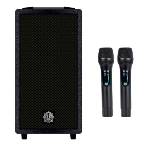 Digimore DT 80X Duo Boom Trolly Speakers Digimore DT 80X Duo Boom Trolly Speakers