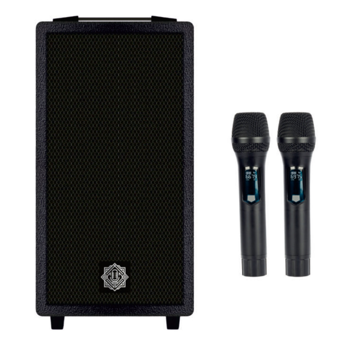 Digimore DT-80X Duo Boom Trolly Speakers