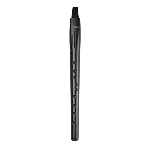 Blackstar Carry-on Digital Wind Instrument 2 - Black