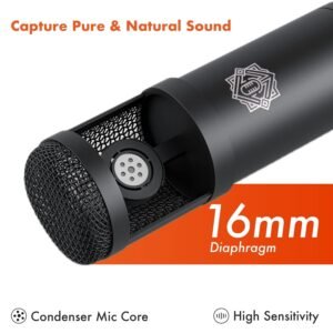 Digimore D 430 Condenser Mic Kit with V8 Sound Card