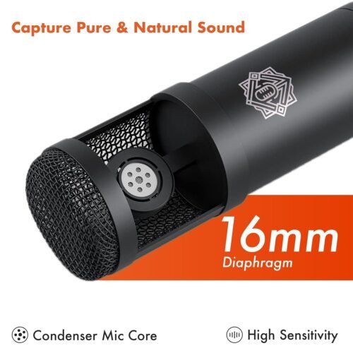 Digimore D 430 Condenser Mic Kit with V8 Sound Card