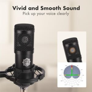 Digimore D 430 Condenser Mic Kit with V8 Sound Card