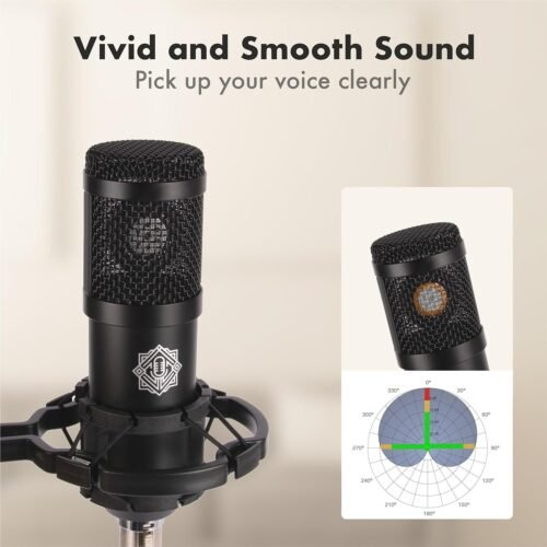 Digimore D 430 Condenser Mic Kit with V8 Sound Card