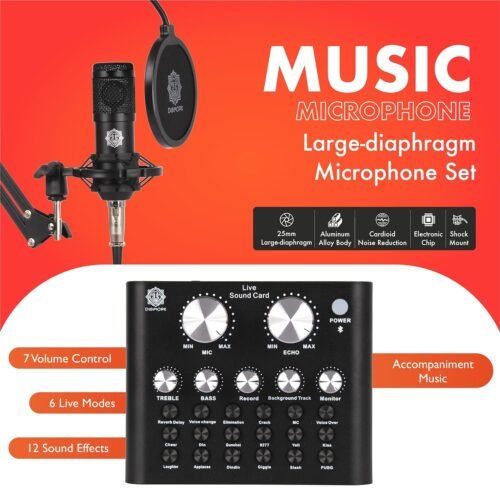 Digimore D 430 Condenser Mic Kit with V8 Sound Card