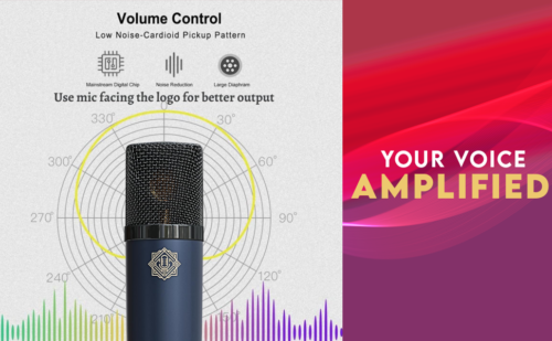 DIGIMORE D 440 Condenser Mic Studio Kit