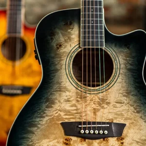 Washburn - Deep Forest Burl ACE Black Fade - DFB-ACE-B
