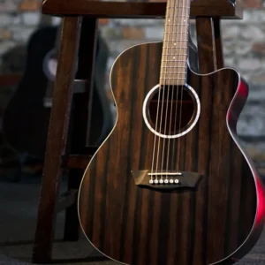 Washburn - Deep Forest Ebony ACE-Striped Ebony-DFEACEA-U
