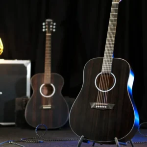 Washburn - Deep Forest Ebony -Striped Ebony -DDFED