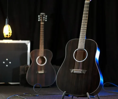 Washburn - Deep Forest Ebony -Striped Ebony -DFED